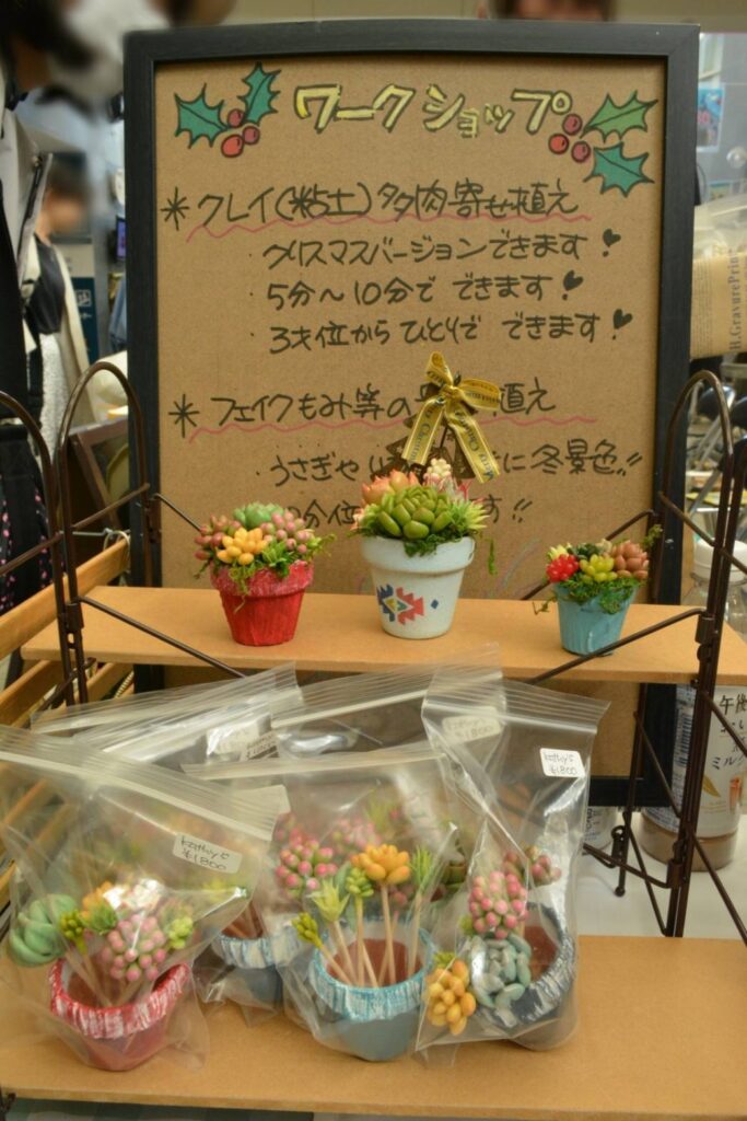 「Life with green ポトス」様　ワークショップ　多肉植物寄せ植えの見本