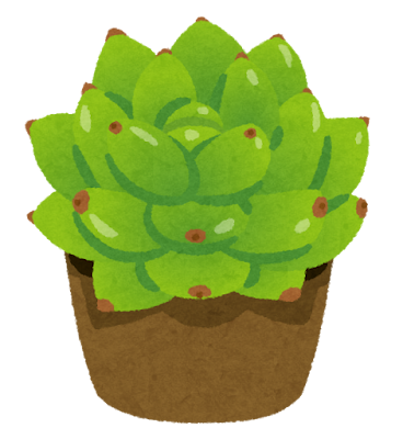 多肉植物　イラスト