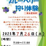 ブルーベリー狩り体験チラシ