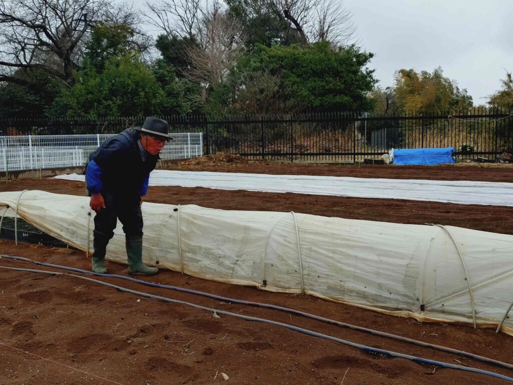 第一菜園で野菜の苗を手入れする日出山さん