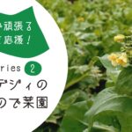 池辺で頑張る人々を応援！シリーズ2　ヒデジィのひので菜園