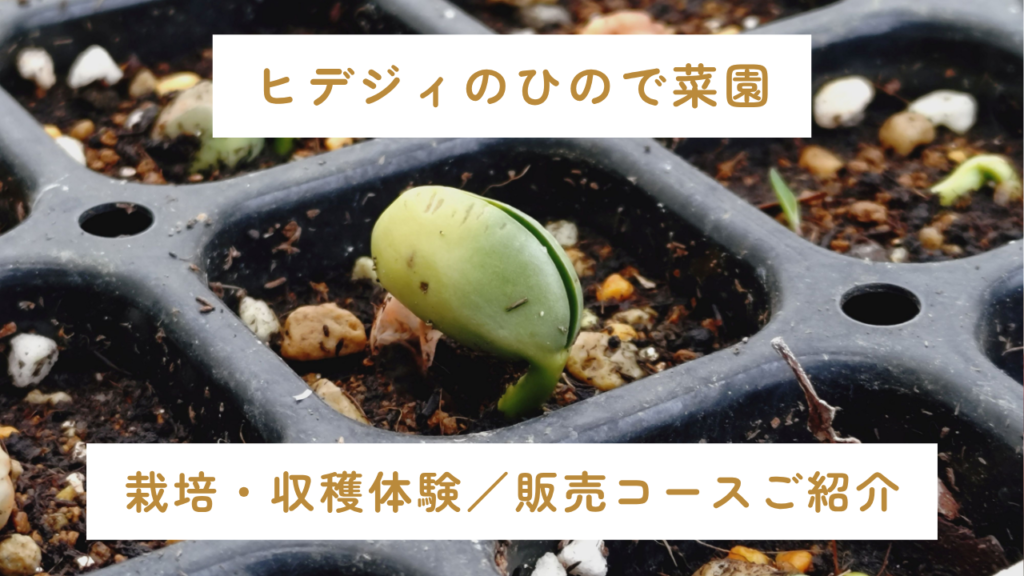 コース紹介サムネイル