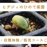 コース紹介サムネイル