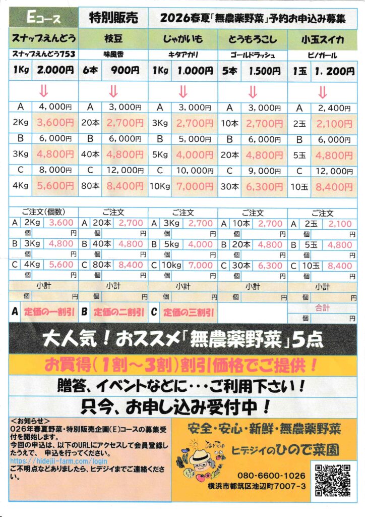 特別販売チラシ