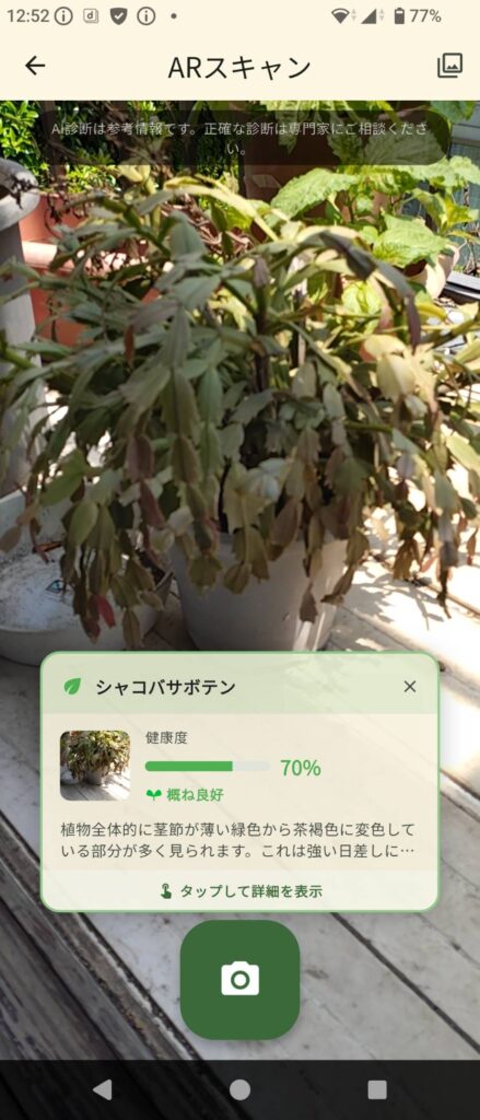 シャコバサボテンの診断結果