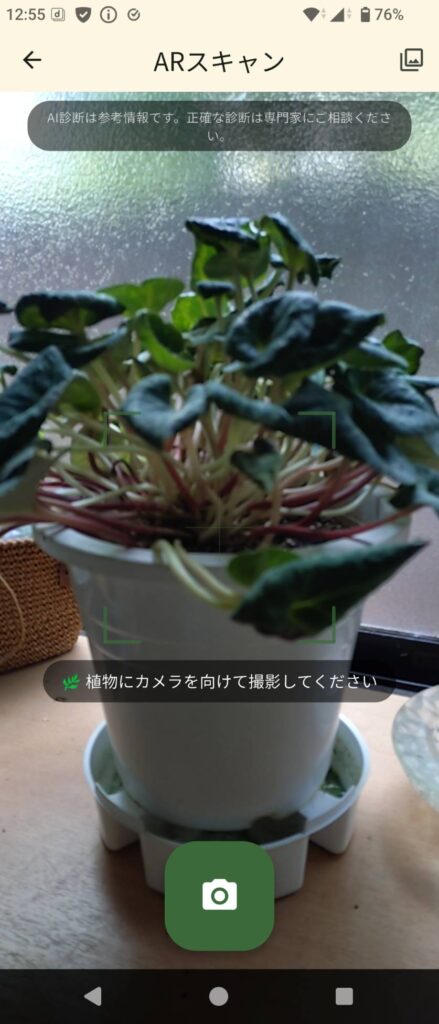 アプリのカメラで植物を撮影する画面