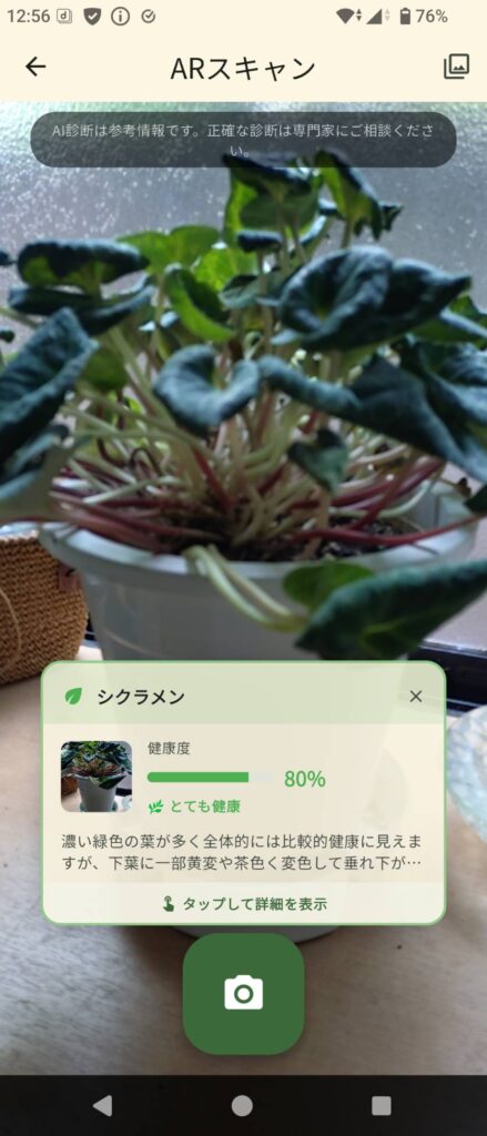 植物の種類と健康状態が表示された画面