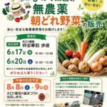 ひので菜園朝どれ野菜の販売　告知チラシ