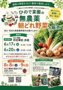 ひので菜園朝どれ野菜の販売　告知チラシ