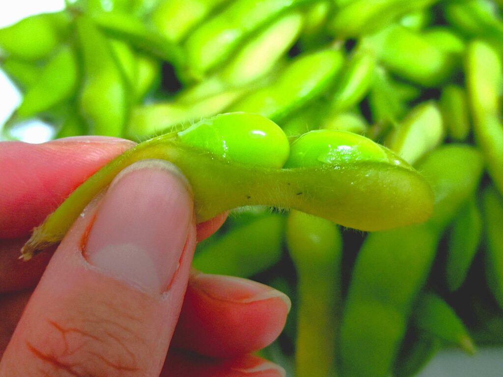 塩茹でした枝豆