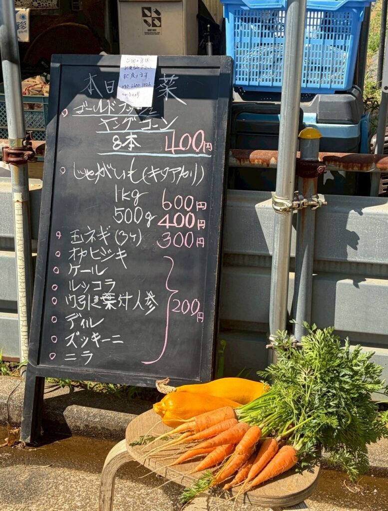 立て看板の前に並べた間引きニンジンとズッキーニ