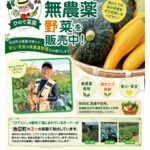 ひので菜園チラシ