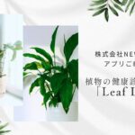 LeafLens 紹介 サムネイル