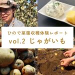じゃがいも収穫体験サムネイル