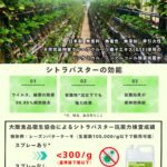 シトラバスター チラシ表